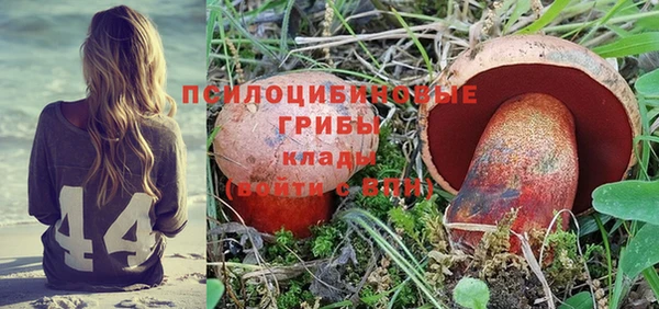 молекула духа Белокуриха