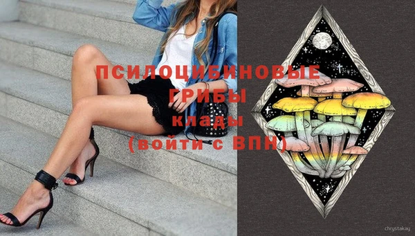 крисы Белоозёрский